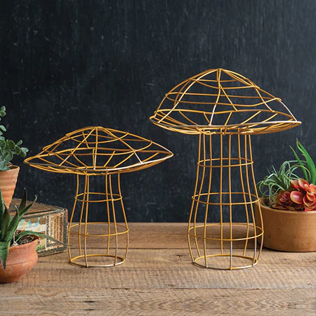 Portobello Garden Mushrooms, Set of 2