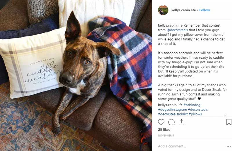 Cuddle Weather Pillow