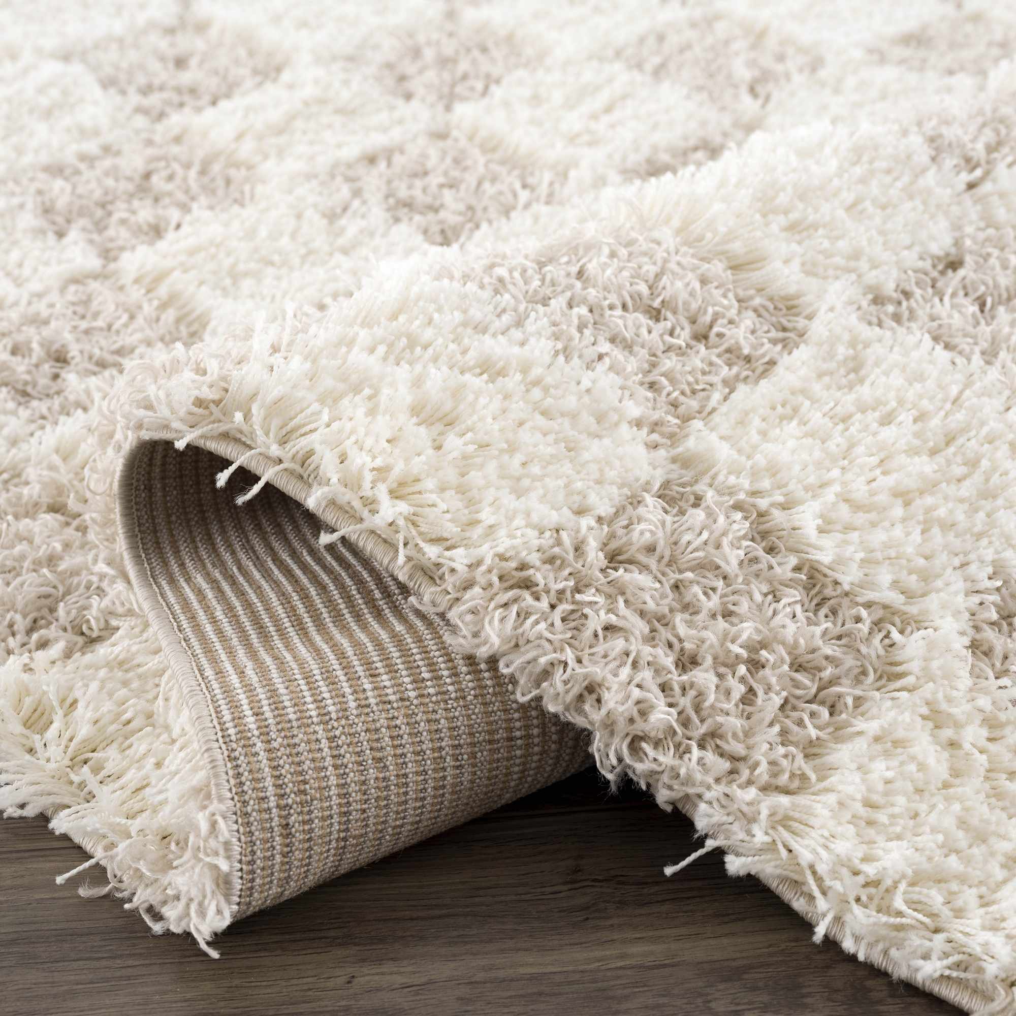 Neutral Checkered Area Rug