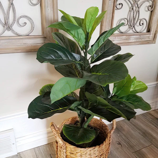 Potted Faux Fiddle Leaf Fig Tree