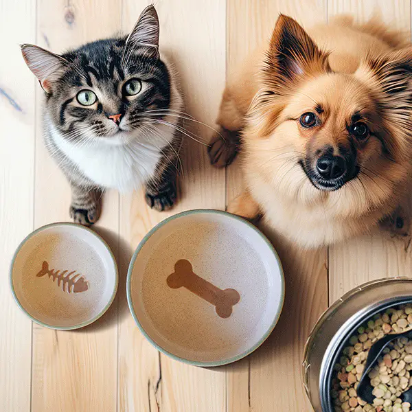 Ceramic Pet Bowls Collection, Choose Your Style