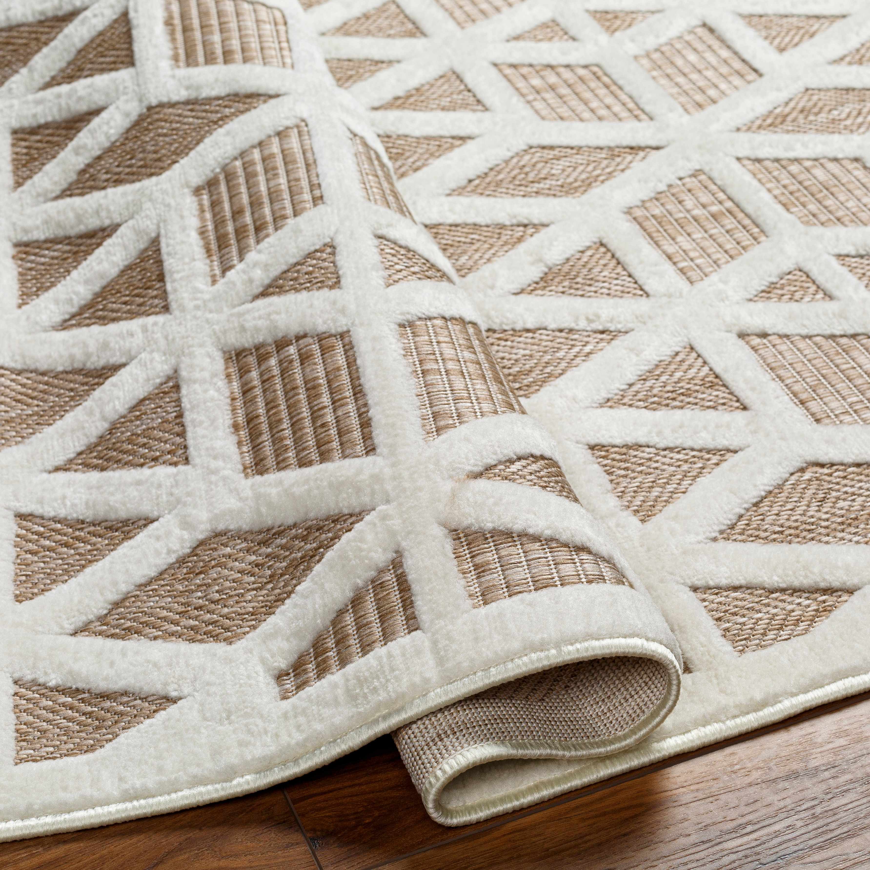 Tan Outdoor Rug