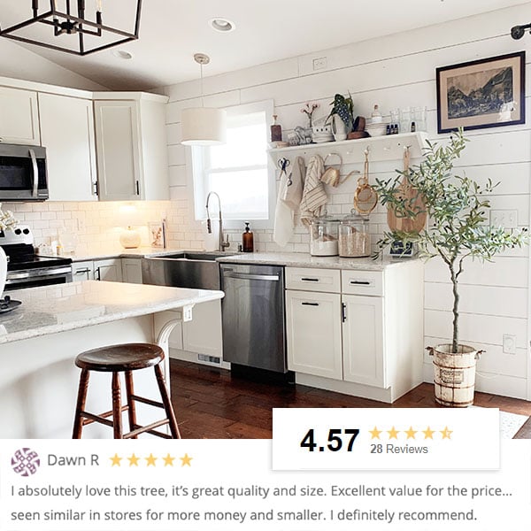 Faux Olive Tree | 67 Inch Premium Lush Potted Olive Tree