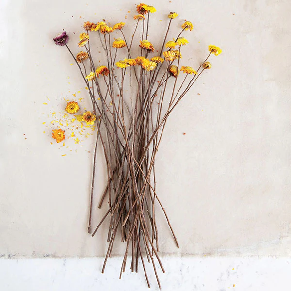 Dried Helication Flower Bouquet