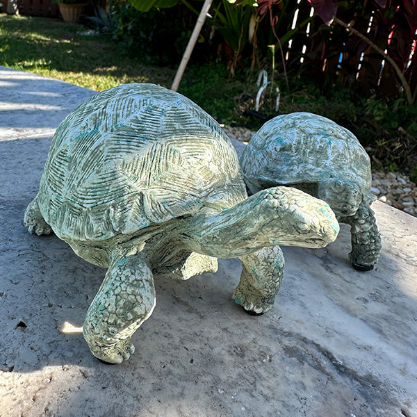Curious Turtle Statues, Set of 2