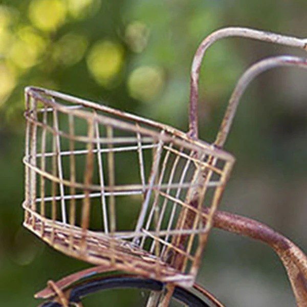 Delivery Trike Planter
