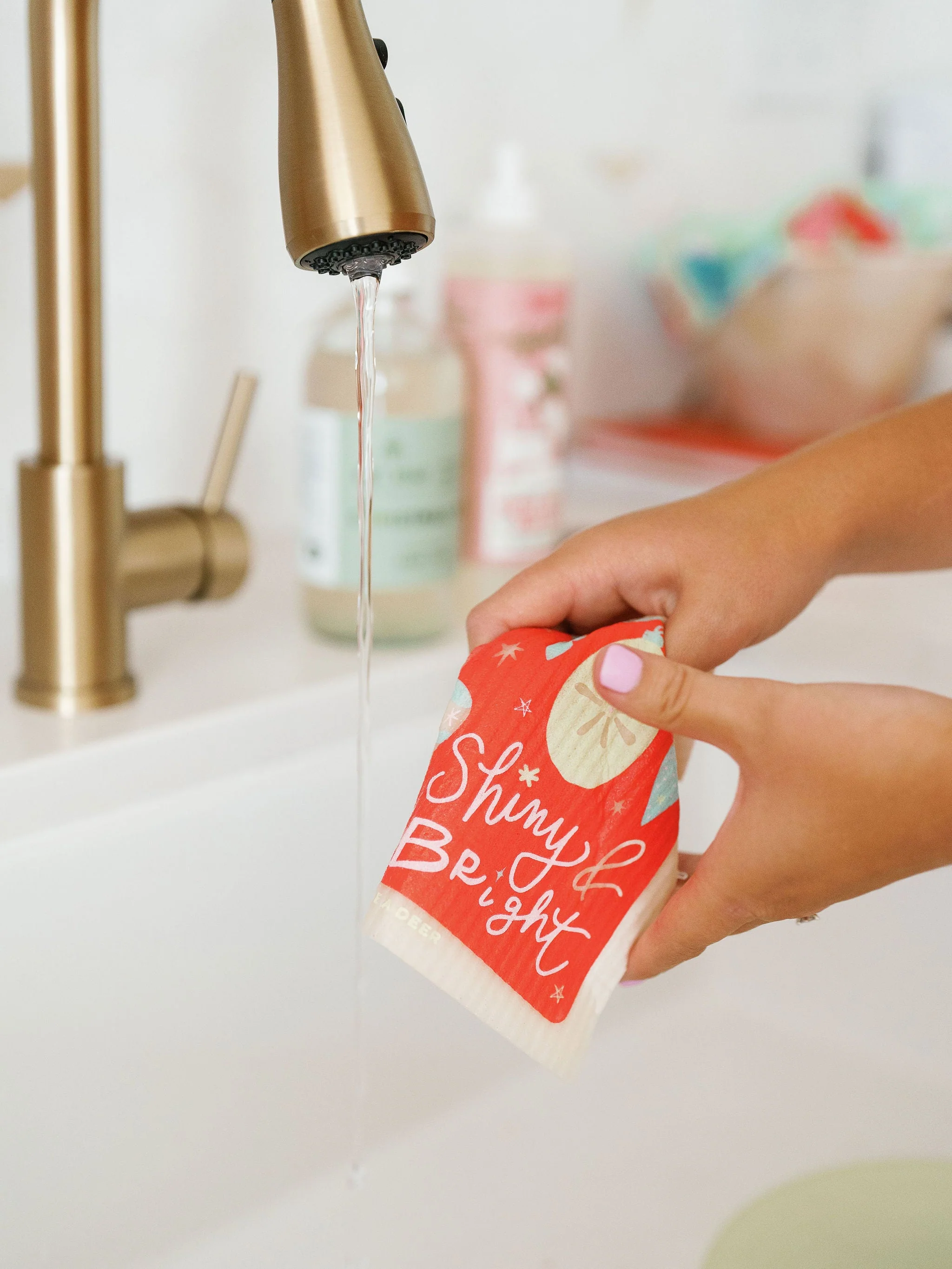 Shiny & Bright Swedish Dishcloth