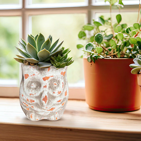 Terracotta Owl Pots, Set of 2