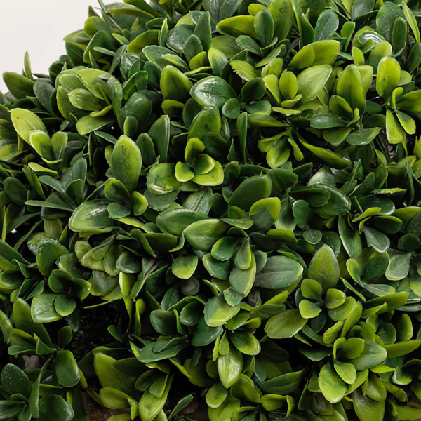 Lifelike Faux Plant in Oblong Ceramic Pot