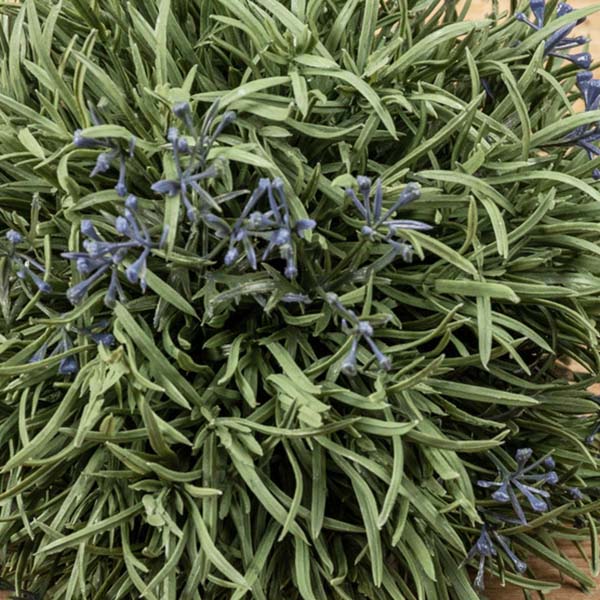Life-Like Lavender and Grass Foliage Ball
