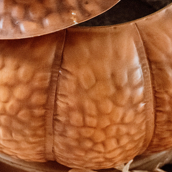 Indoor/Outdoor Metal Pumpkin with Lid