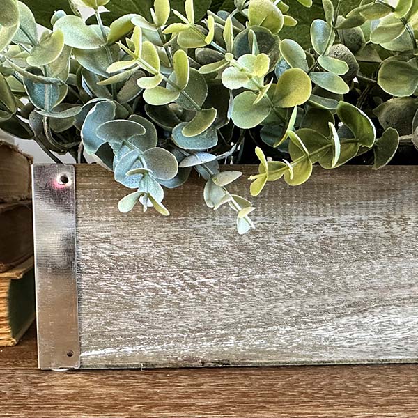 Life-like Eucalyptus Plant, Pick Your Style