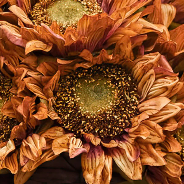 Red and Brown Sunflower Stems, Set of 4