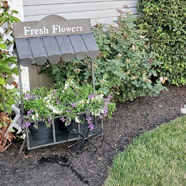 Farmhouse Iron Flower Cart with Roof