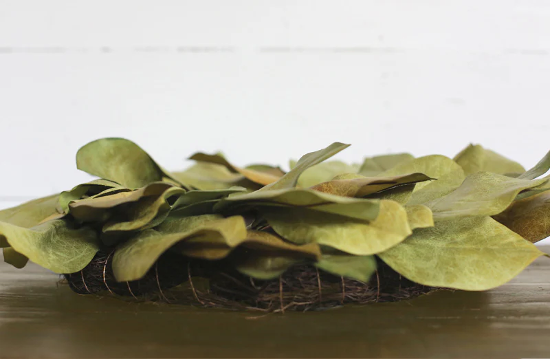 *HUGE* Magnolia Wreath