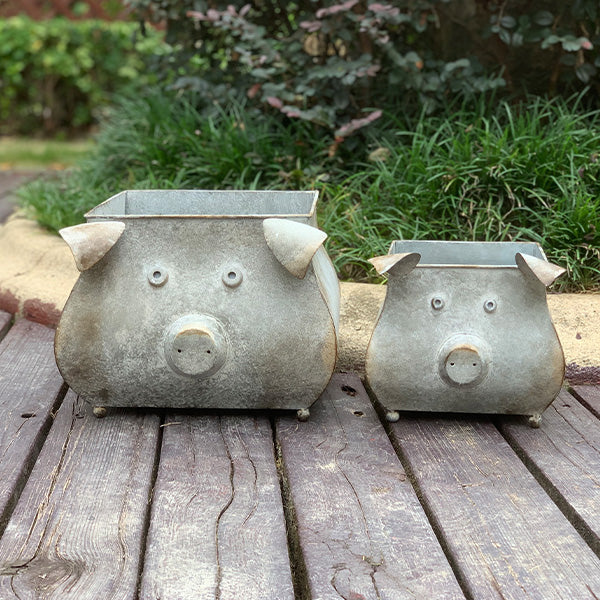 Galvanized Piggy Metal Planters, Set of 2