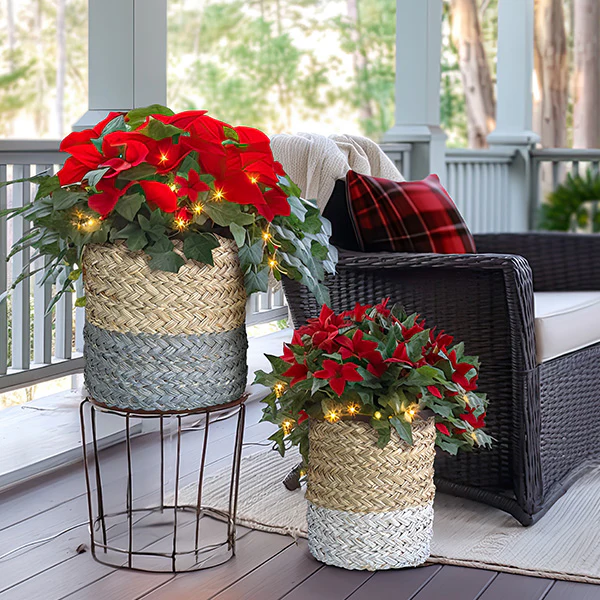 Two-Toned Woven Baskets for Storage, Set of 2