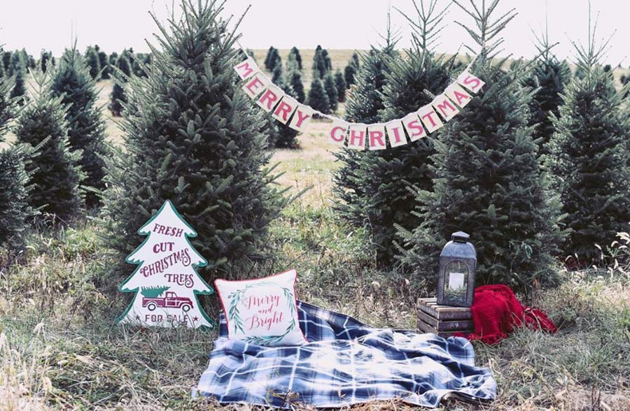 Red Truck Christmas Tree Sign