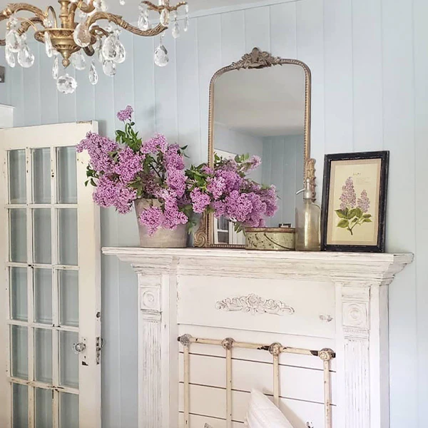 Gold Mirror | Ornate Gleaming