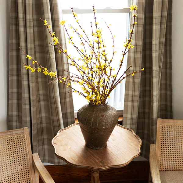 30 Inch Living Forsythia Stem Bunch
