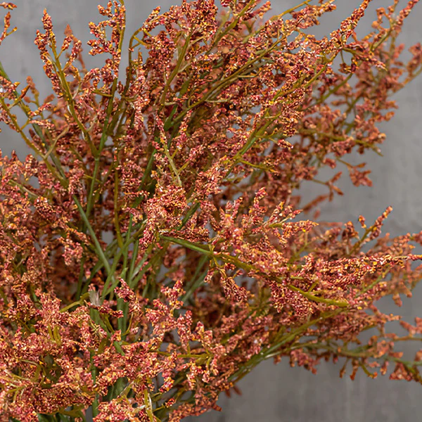 Green and Red Foliage Spray, Set of 3