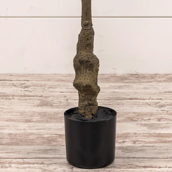 5 Feet Rhodoleia Faux Tree in Black Pot