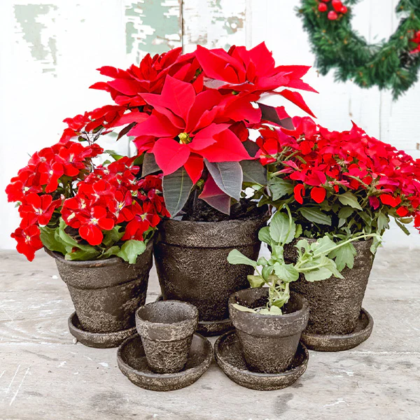 Dark Gray Terracotta Indoor/Outdoor Planters, Set of 5