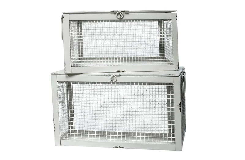 Metal Wire Storage Baskets  Set of 2