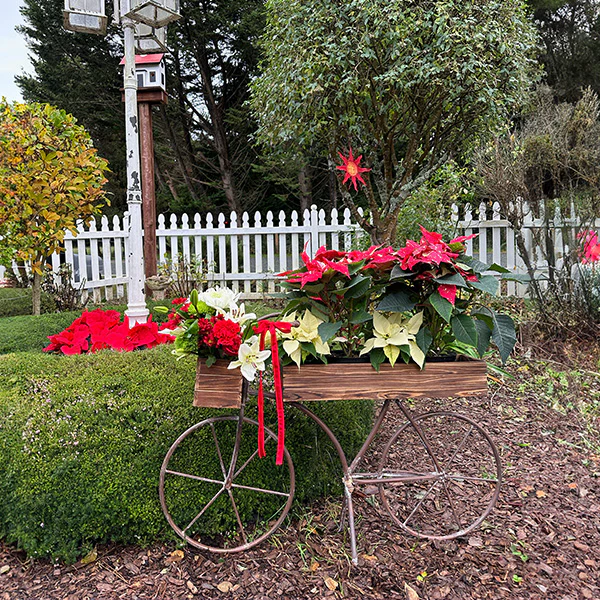 41 Inch Wood and Iron Garden Bicycle Planter