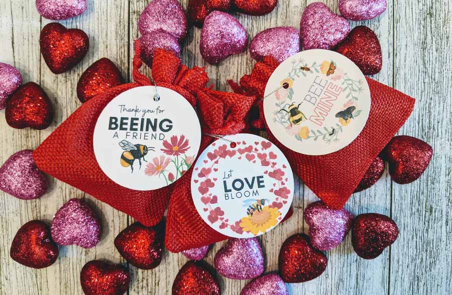 Wildflower Seed Ball Gift Bags, Set of 3 | Made in USA