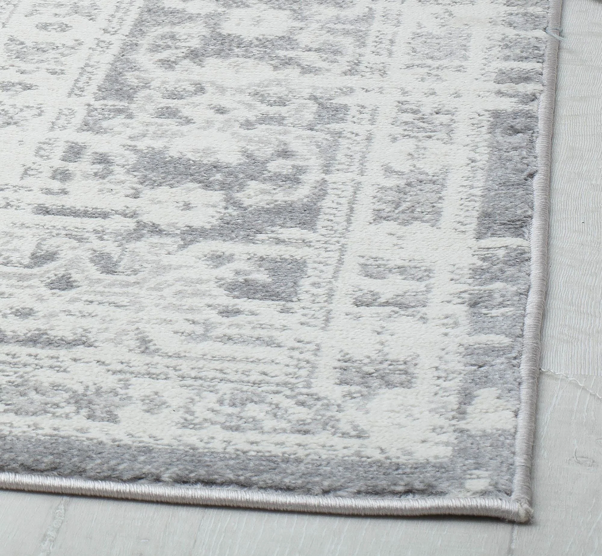 Canvas Sundara Area Rug
