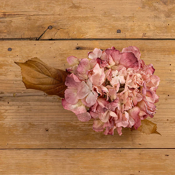 Lifelike Mauve Hydrangea Spray, Set of 4 Stems