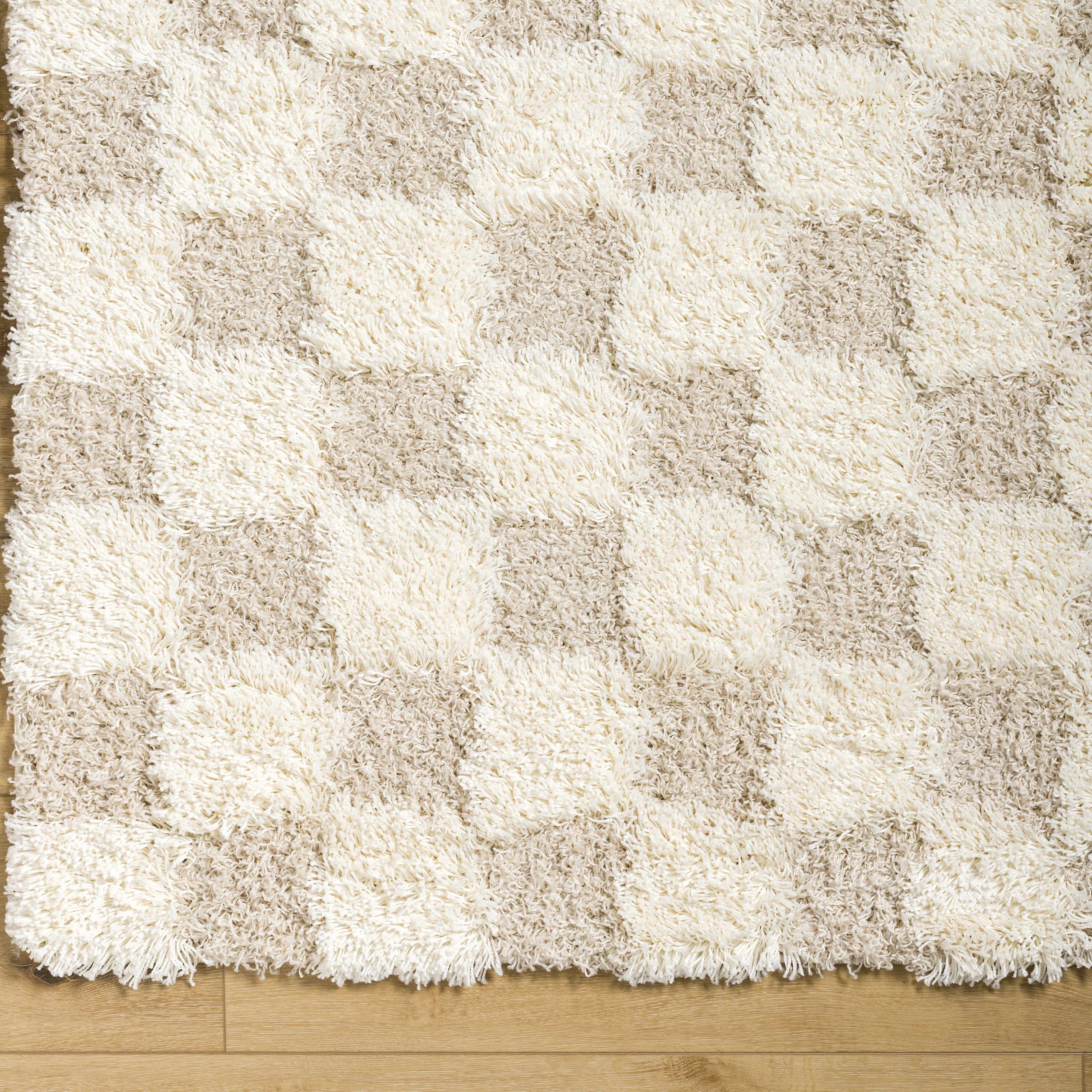 Neutral Checkered Area Rug