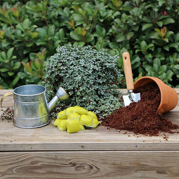 Plant with Purpose Flower Booster Water Soluable Fertilizer - 10 piece