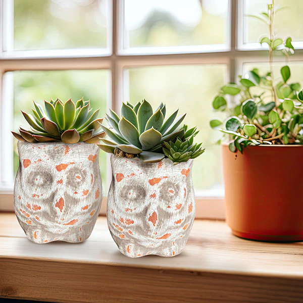 Terracotta Owl Pots, Set of 2