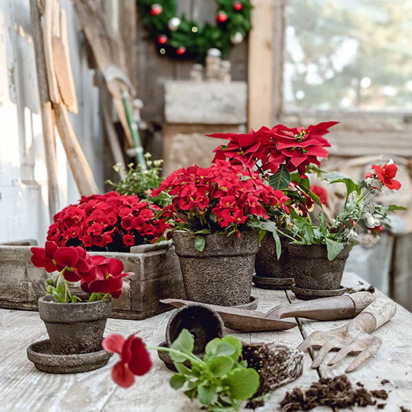 Dark Gray Terracotta Indoor/Outdoor Planters, Set of 5