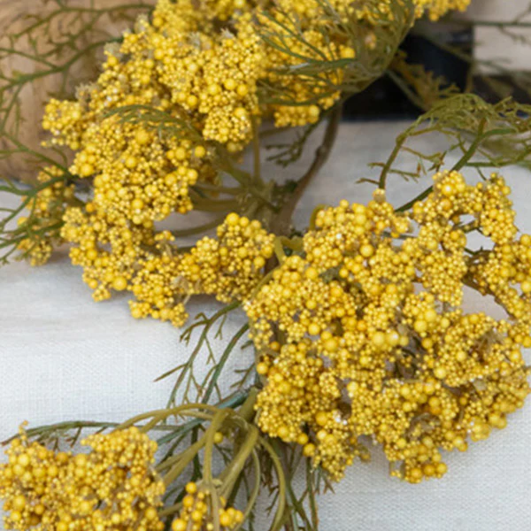 Queen Anne Lace Garland