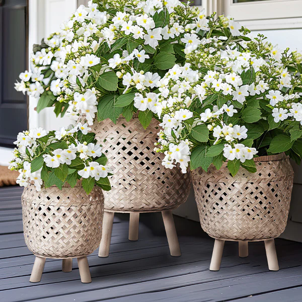 Lattice Bamboo Planters with Wooden Plant Stands, Set of 3