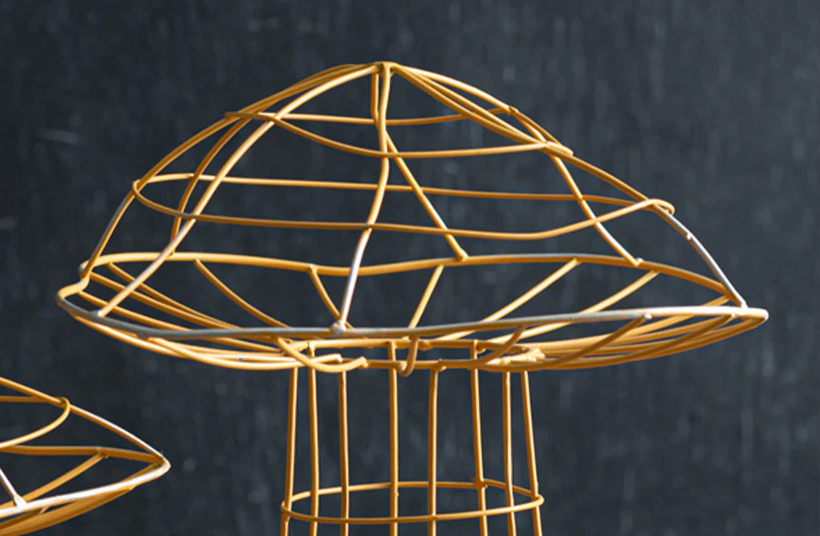 Portobello Garden Mushrooms, Set of 2