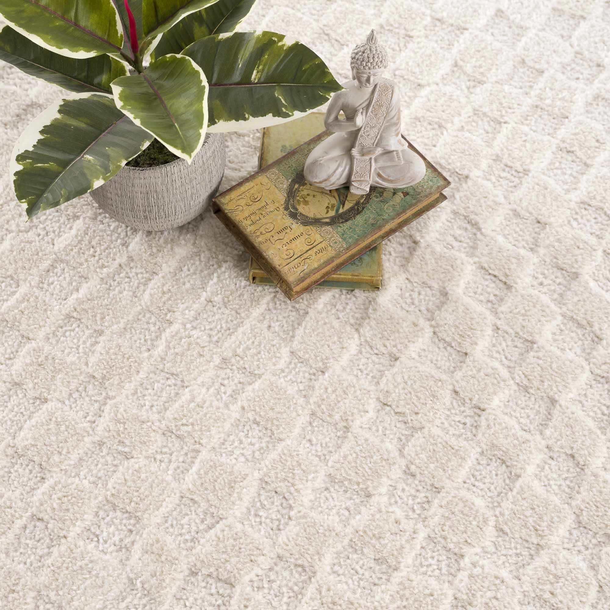 Ivory Area Rug