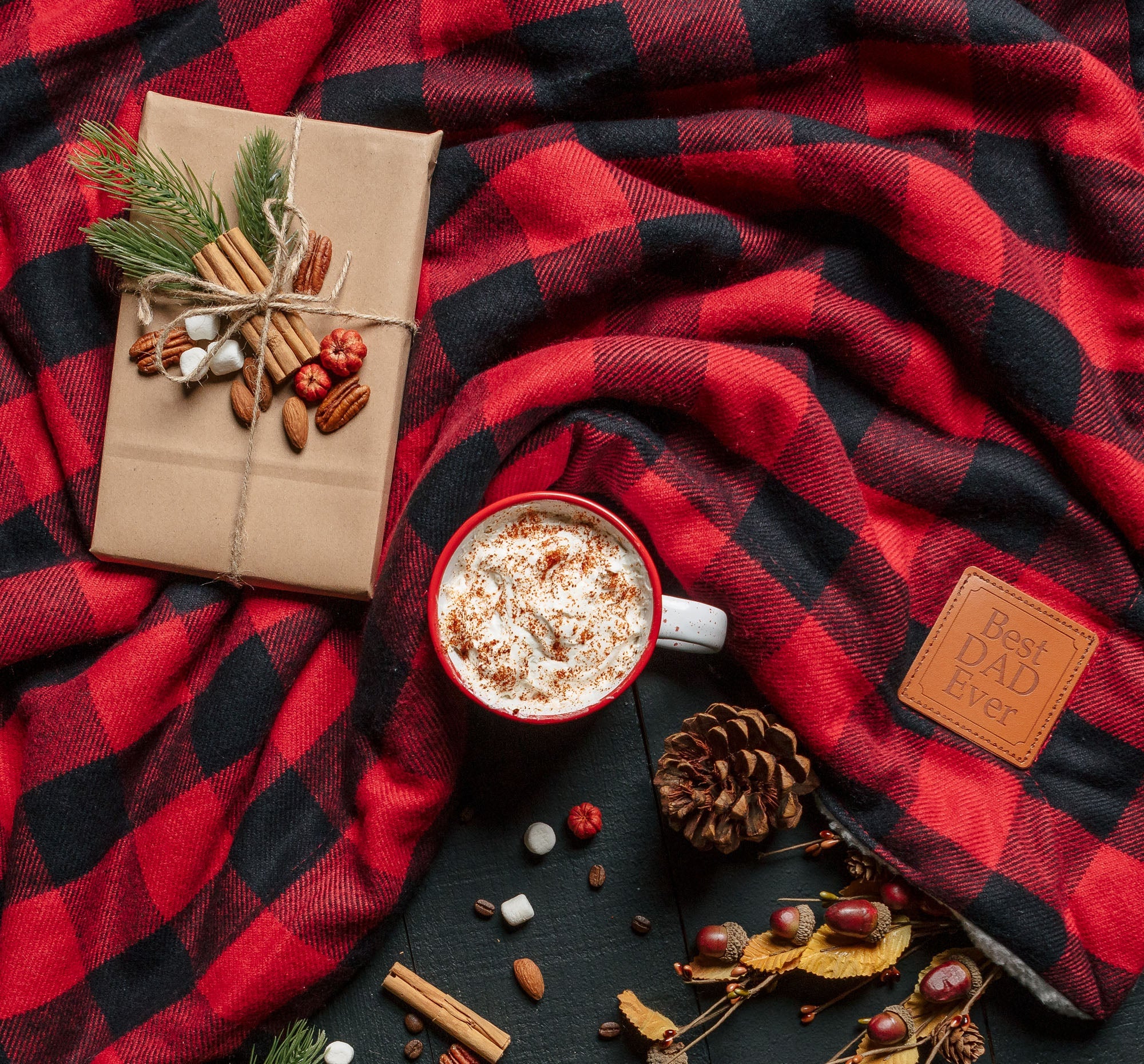 Best Dad Ever Plaid Throw Blanket