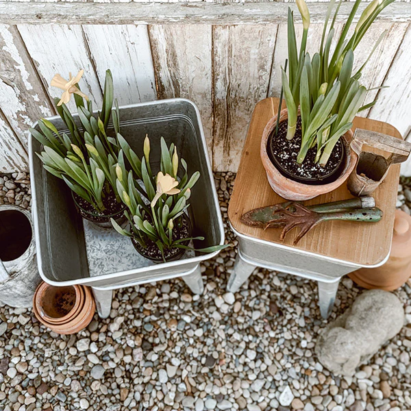 Metal Planter Basin Tables, Set of 2