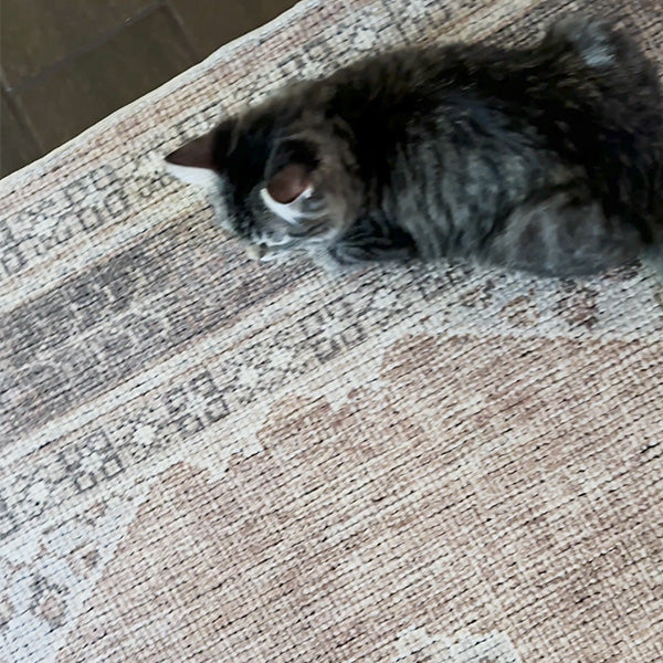 Terracotta Medallion Area Rug