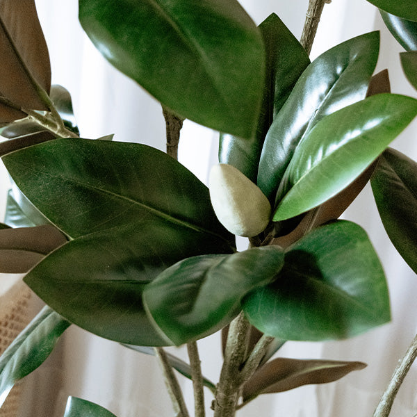 71 Inch Faux Magnolia Tree with White Buds