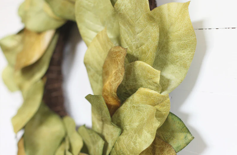 *HUGE* Magnolia Wreath