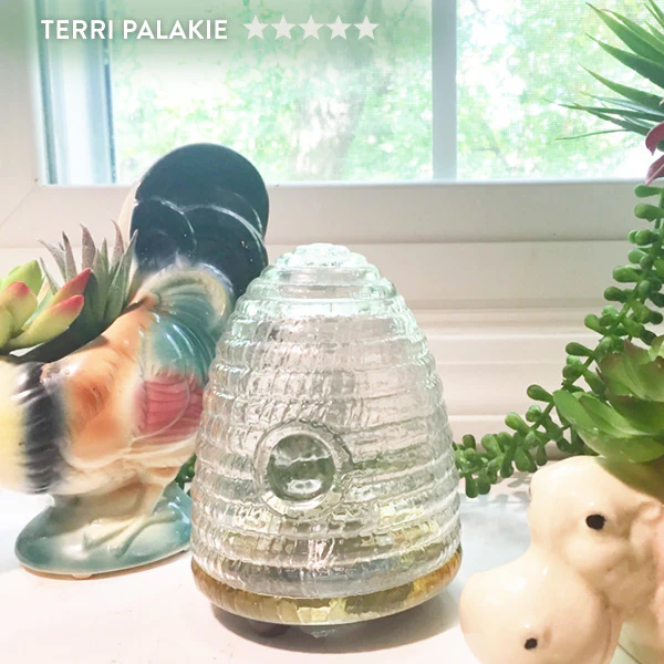 Pesky Insect Tabletop Trap