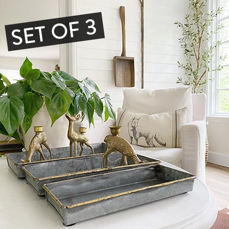 Galvanized Metal Trays, Set of 3
