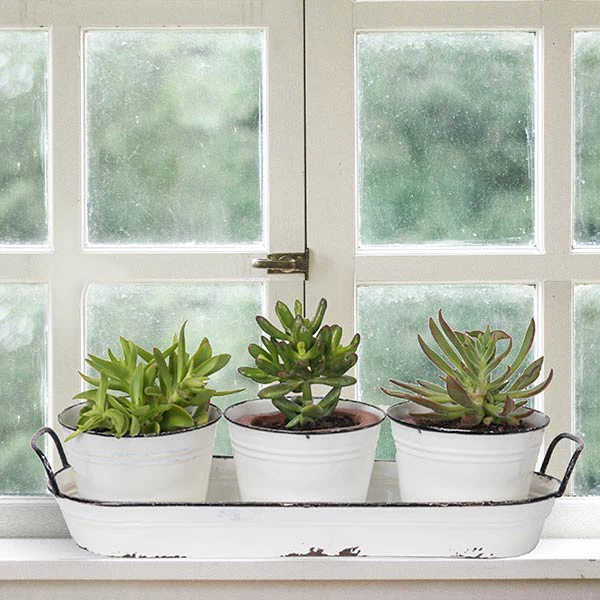 Enamel Planters With Tray  Set of 3