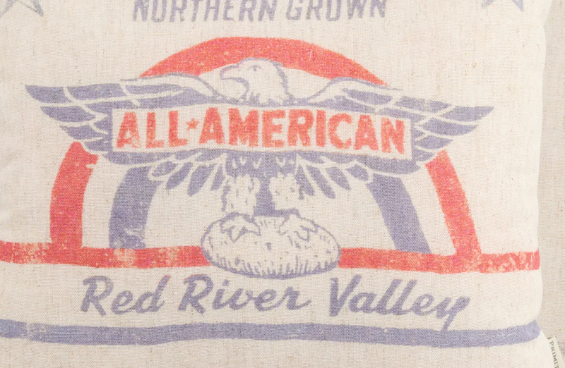 All American Throw Pillow