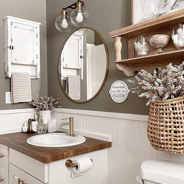 Chippy White Wooden Medicine Cabinet